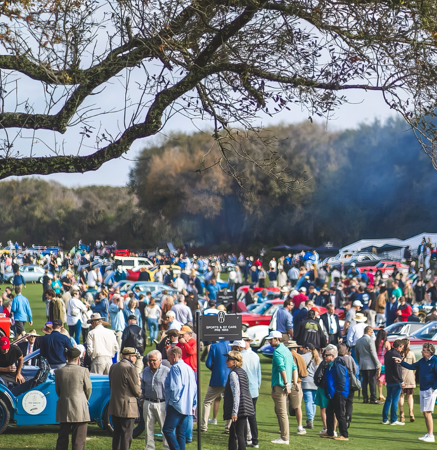 RADwood @ The Amelia 2025