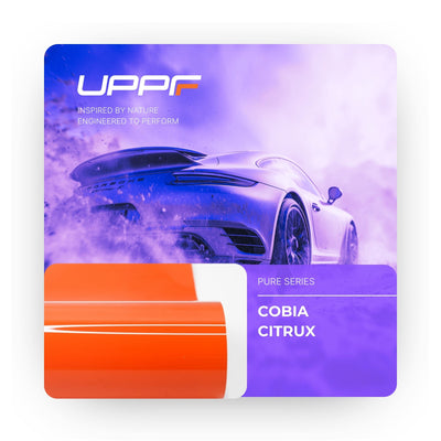 Cobia Citrux CP6023