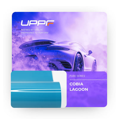 Cobia Lagoon CP6008