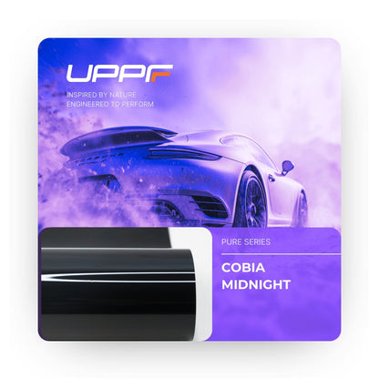 Cobia Midnight CP6001