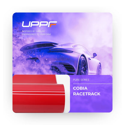 Cobia Racetrack CP6021