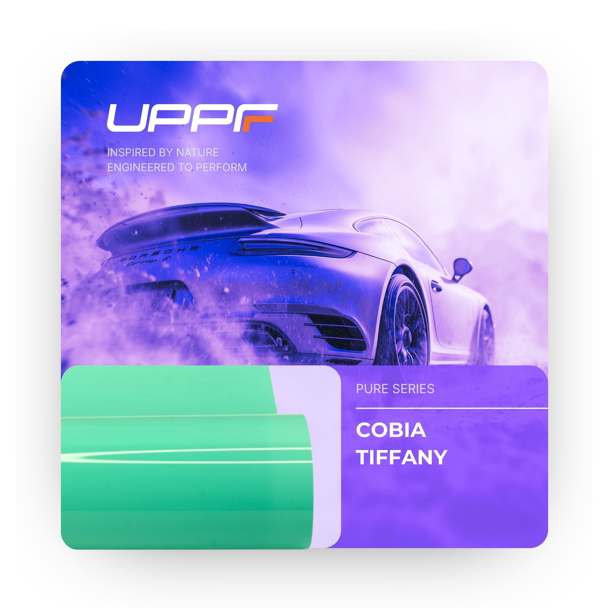 Cobia Tiffany CP6011