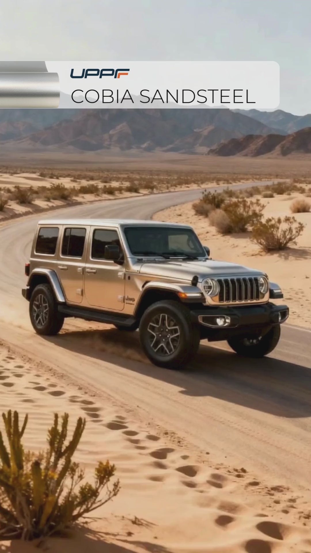 Load video: Cobia Sandsteel CL8022