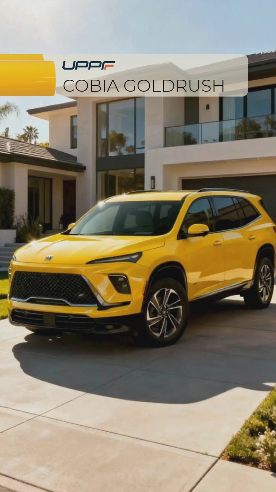 Load video: Cobia Goldrush CP6018