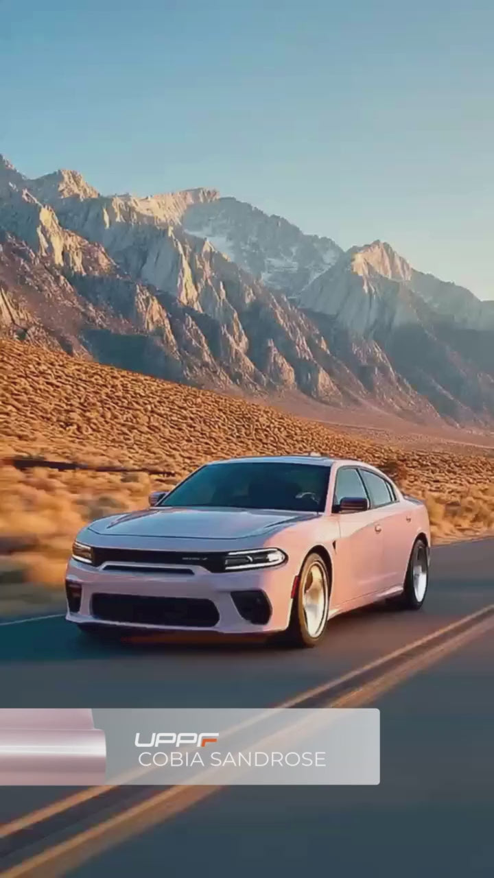 Load video: Cobia Sandrose CL8027