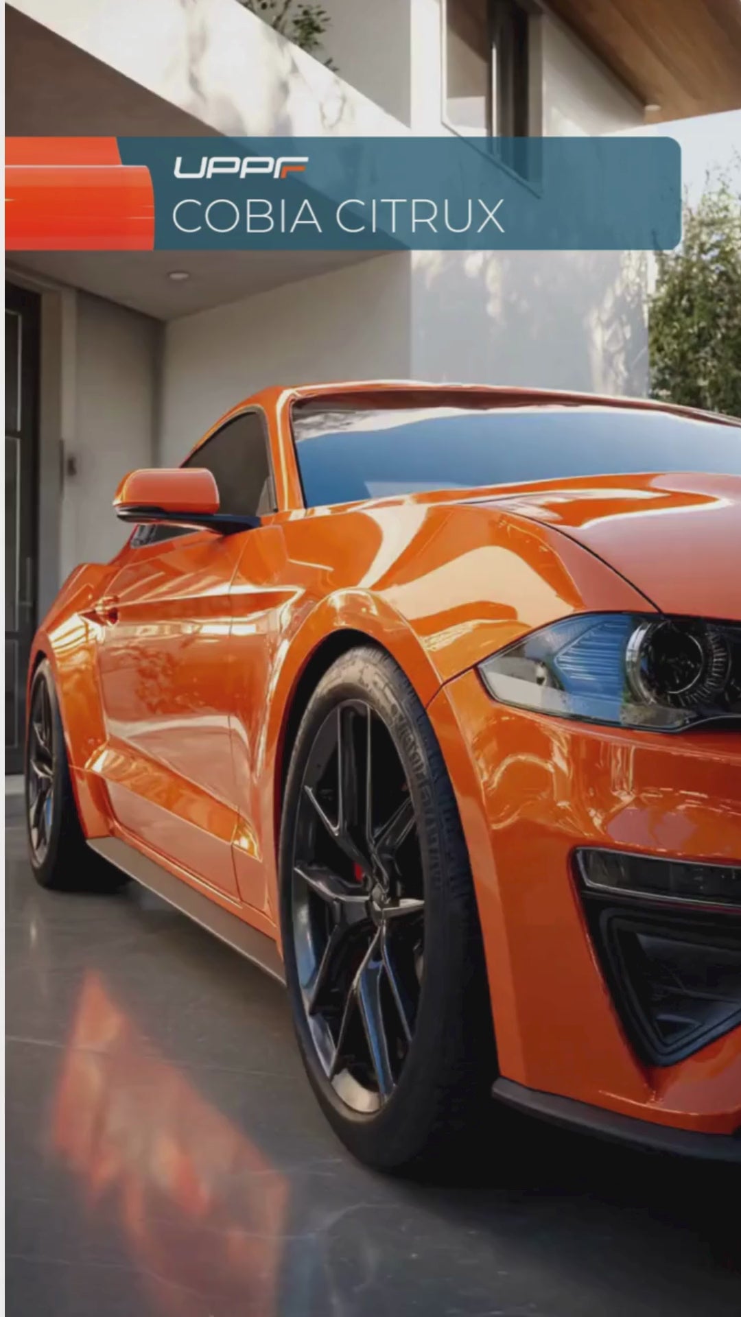 Load video: Cobia Citrux CP6023